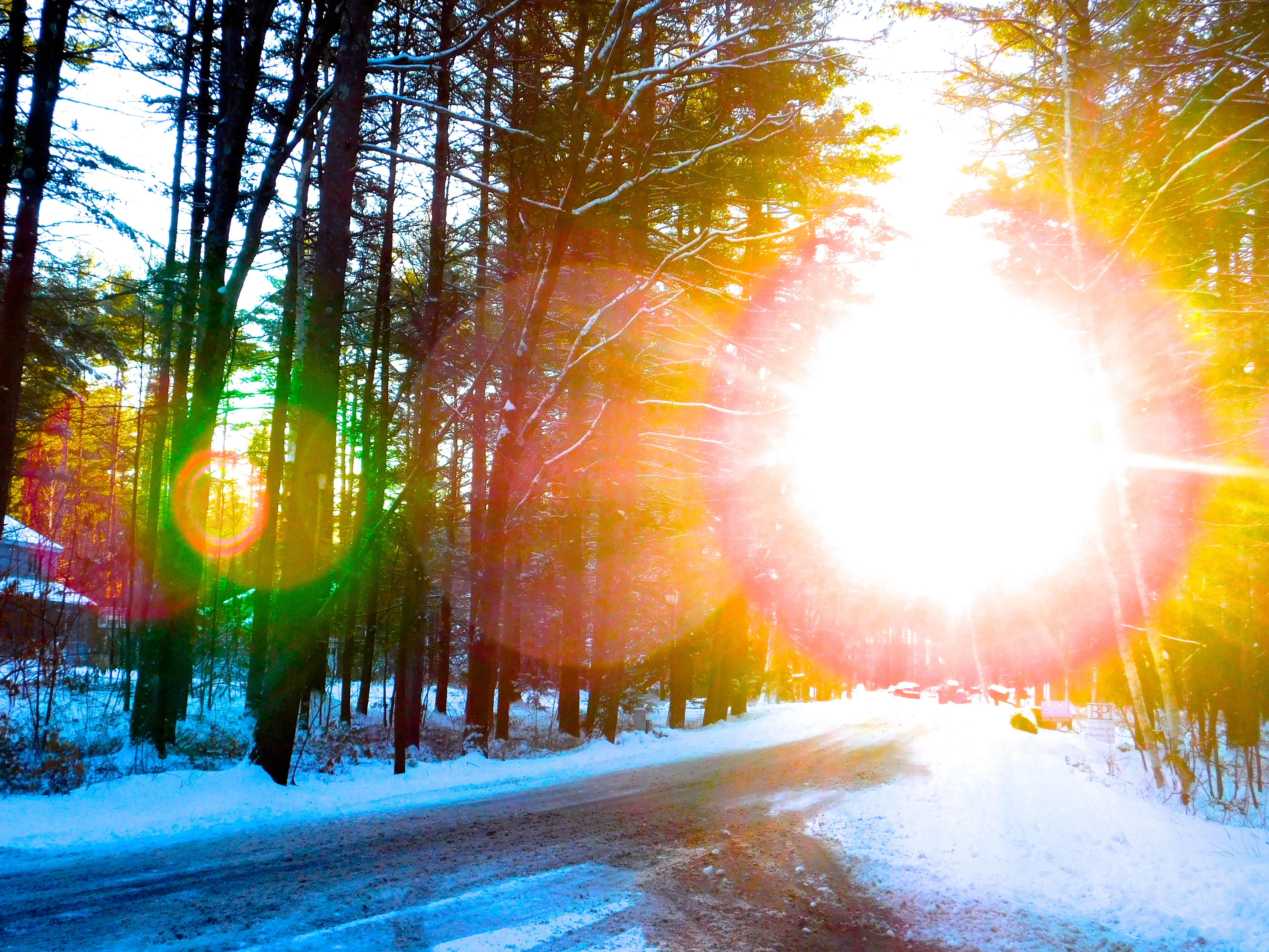 DSCN0648 - Version 2