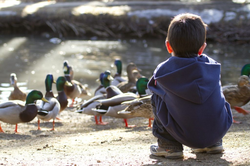 stock-photo-cute-young-boy-feeding-the-ducks-late-in-the-afternoon-48188548-1920x1280.jpg